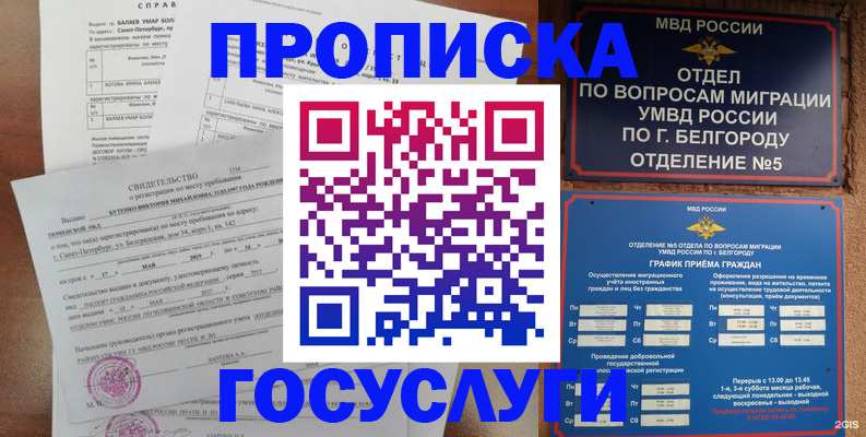 прописка для школы в Назрани